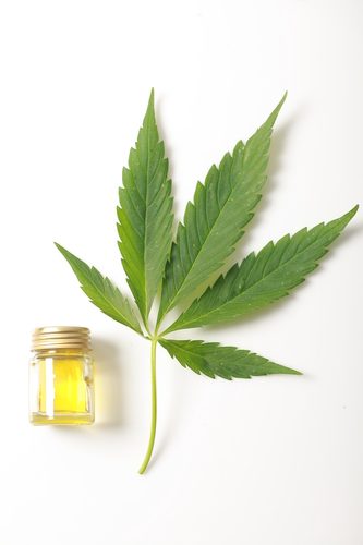 Cbd delivery: le tue consegne direttamente a casa tua