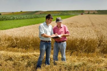 Prelazione agraria: come proteggere i propri diritti di proprietà