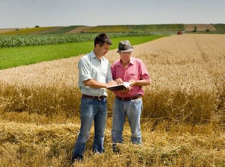 Prelazione agraria: come proteggere i propri diritti di proprietà