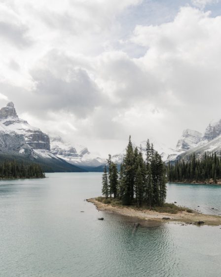 Alaska Un'avventura nella natura selvaggia e nei ghiacciai