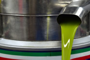 Processi di estrazione e cura delle olive nei frantoi